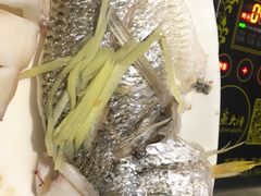 黄翅鱼-船奇蒸汽海鲜·闽菜(八市海鲜总店)