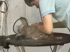 -艾贝尔宠物医院 ·中兽医·宠保定点(北门桥店)