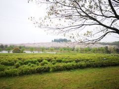 -凤凰沟景区