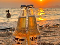 -广东惠东海龟国家级自然保护区