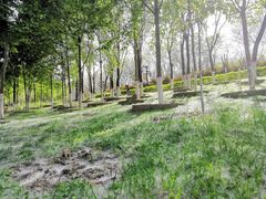 -西安汉城湖景区