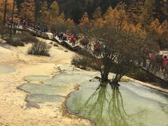 -黄龙山原始森林景区