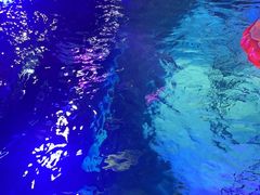 -沈阳海洋探索中心