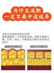 -Fundi张玉珊修身堂·indiba·BTL科技瘦身