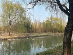 -广富林郊野公园