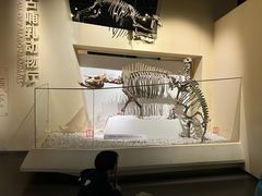 -国家自然博物馆