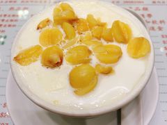 莲子双皮奶-义顺牛奶公司(新马路老店)