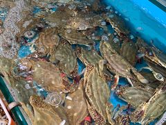 -港畔赶海蒸汽海鲜烧烤自助(仙螺岛店)