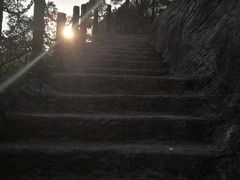 -金鸡山公园