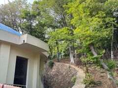 -合肥野生动物园