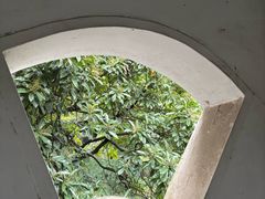 -水绘园