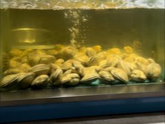 -海天盛宴海鲜自助(正大广场店)