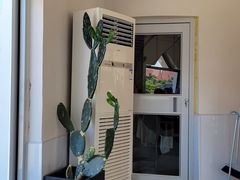 -ChanDu躔度咖啡(灯塔店)