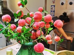 -小豆海棠(嘉兴路店)