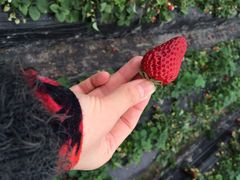 多利农庄有机体验馆-上海多利农业发展有限公司