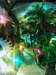 -恐龙探索乐园(磁器口店)