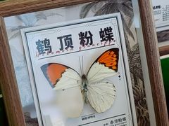 -朵云书院(滴水湖店)