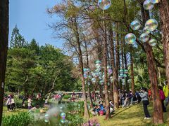 -人民公园(罗湖区)