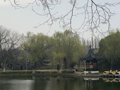 -泰州凤城河风景区-泰山公园