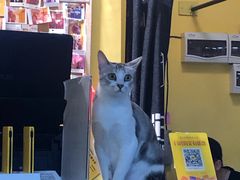 -谜盒子奇幻密室(南屏店)