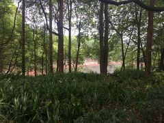 -西南交通大学(峨眉校区)