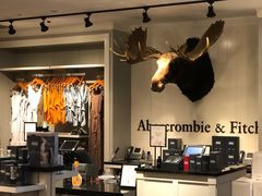 -Abercrombie & Fitch(天环广场店)