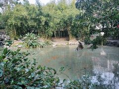 -汇龙潭