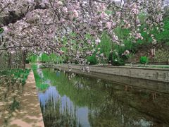 -元大都城垣遗址公园