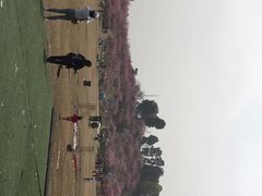 -秀丽东方