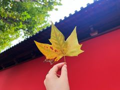 -南宋御街