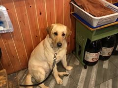 -干锅王·重庆鸡公煲(吾悦店)