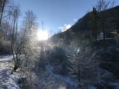 -柯尼希湖