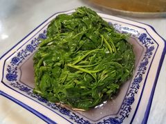 枸杞藤-洞天食府(北大街店)