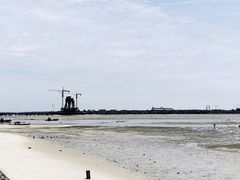 -北海金海湾红树林生态旅游区