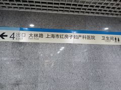 -陆家浜路(地铁站)