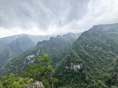 -牛背梁国家森林公园