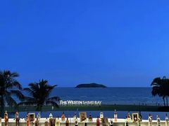 -元素中餐厅.海南菜.粤菜.椰子鸡.海鲜.包房.石梅湾威斯汀度假酒店