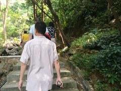 -火炉山森林公园