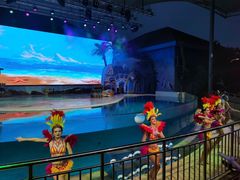 -三亚海昌梦幻海洋不夜城