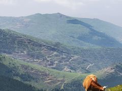 -五台山风景区
