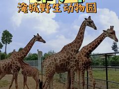 -常州淹城野生动物世界