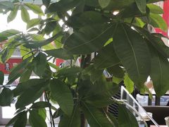-李先生牛肉面大王(营口大润发店)