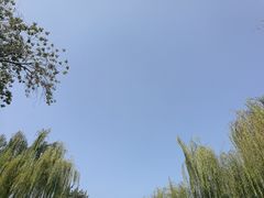 -教师之家赵家羊汤馆(东青龙街店)
