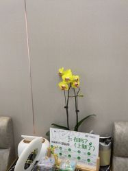 -杭州米兰柏羽医疗美容医院