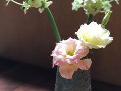 -梅间堂茶馆(绿地缤纷城店)