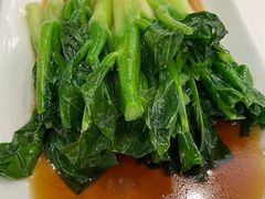 菜心-金时代顺风大酒店(临港百联店)