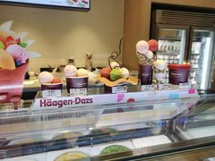 -哈根达斯(西安北郊店)