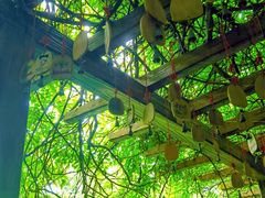 -古堰画乡景区