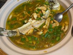 -滇铺子·云南特色菜·第九届野生菌美食节(东风东路c86店)