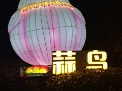 -武汉园博园(武汉自然博物馆)